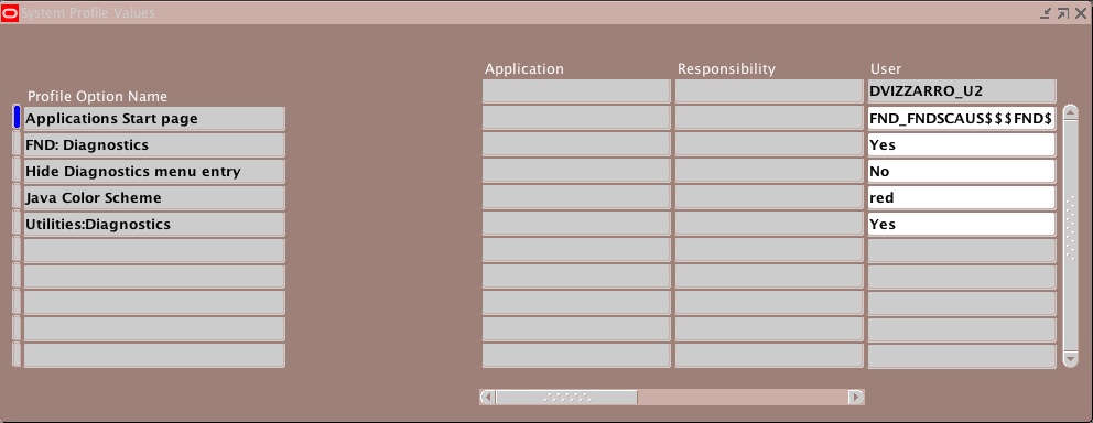 Snapshot 2009 01 16 15 19 53 Form Personalization: Limit Site Level Profile Options Access on the form FNDPOMPV